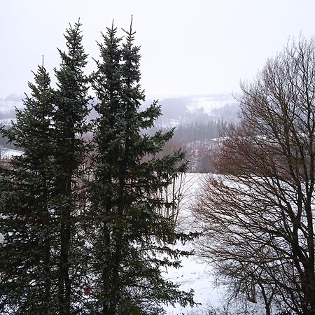 Ferienwohnung Merlina Wlan-Wandern-Radfahren-Motoradurlaub ブラウンラーゲ エクステリア 写真