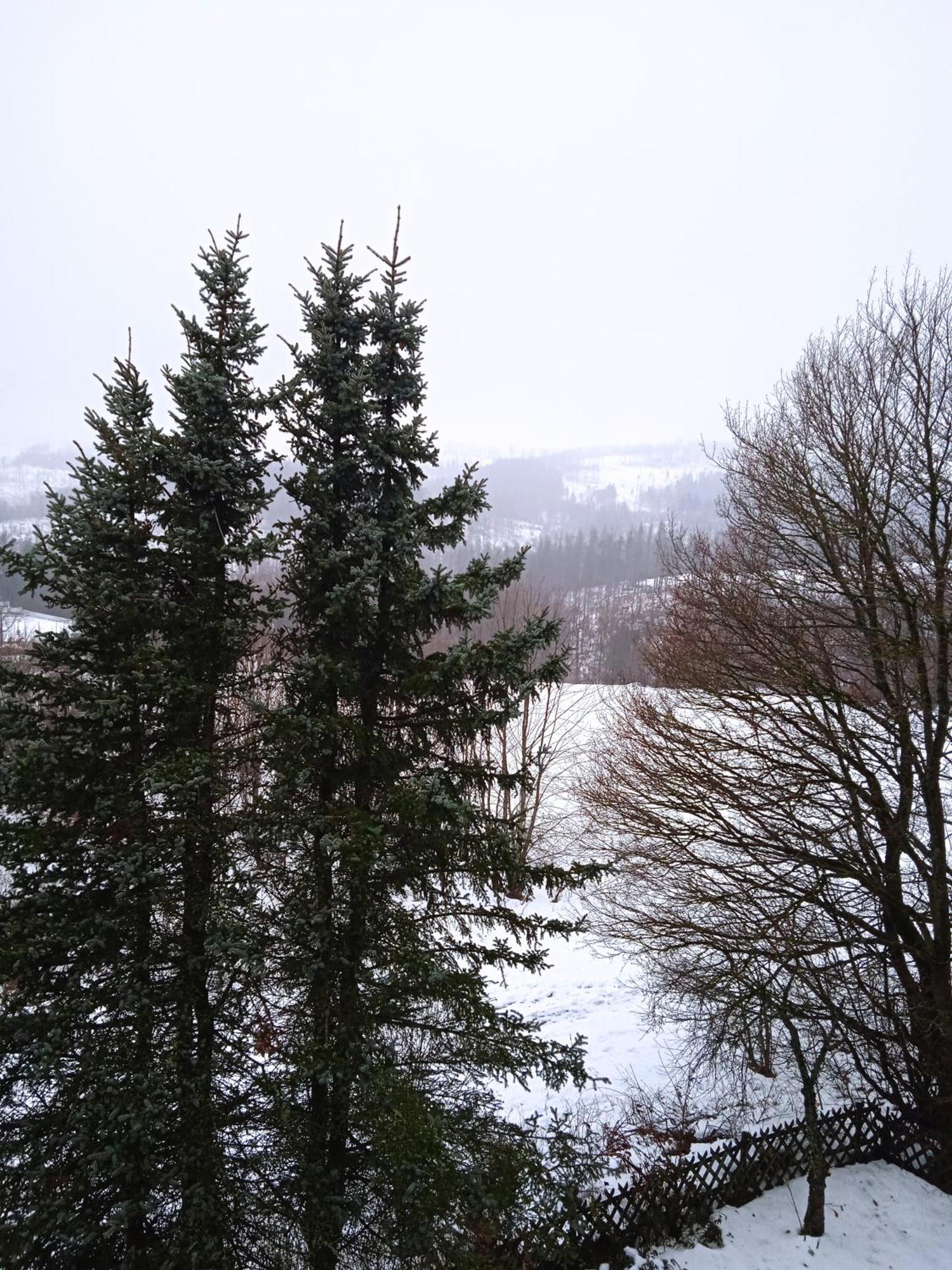 Ferienwohnung Merlina Wlan-Wandern-Radfahren-Motoradurlaub ブラウンラーゲ エクステリア 写真